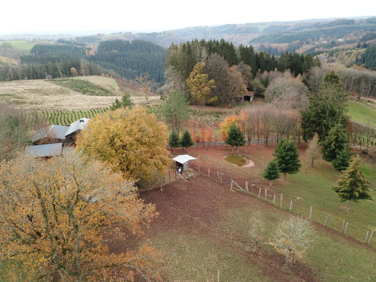 Le Brocard Des Fagnes - 16 Pers *